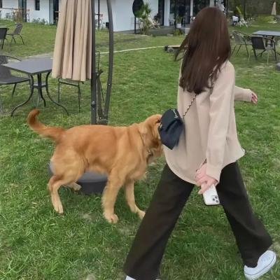 卢哥来唬秀