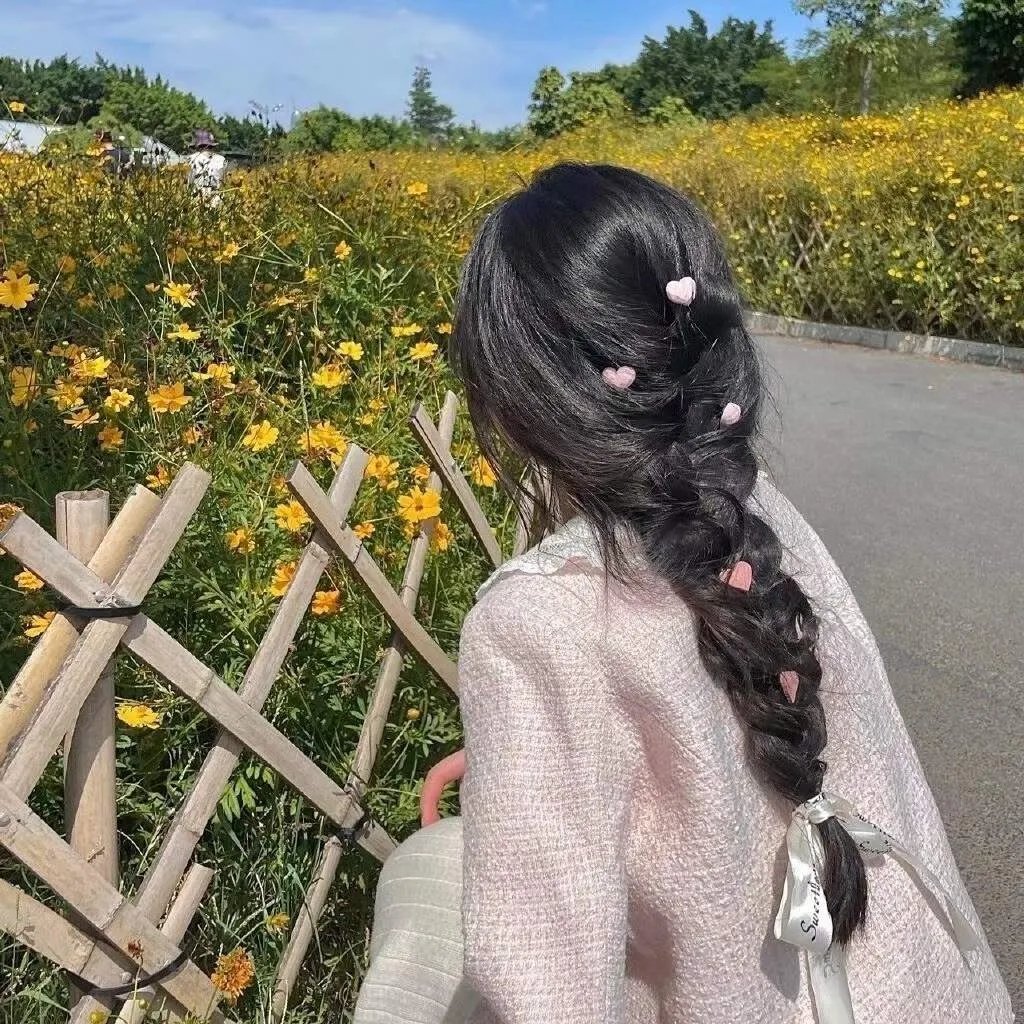 喵星少年漂流记